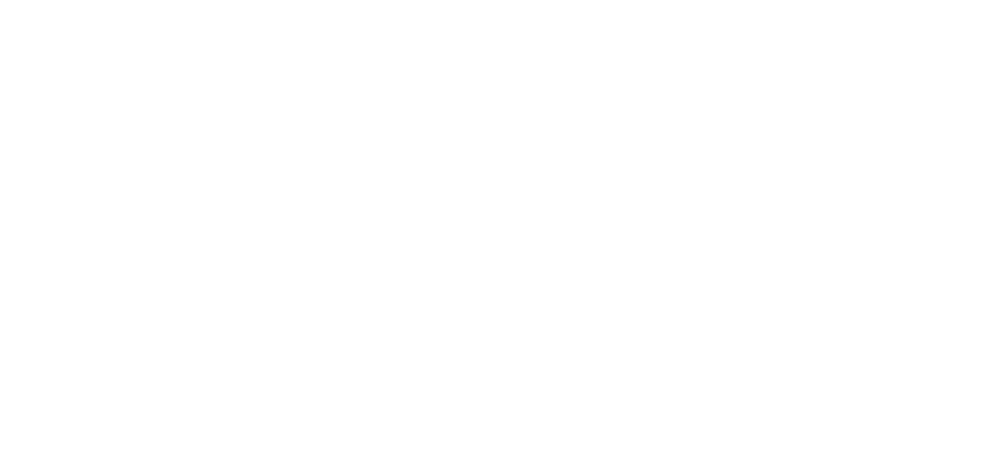 Painflame_logo_footer