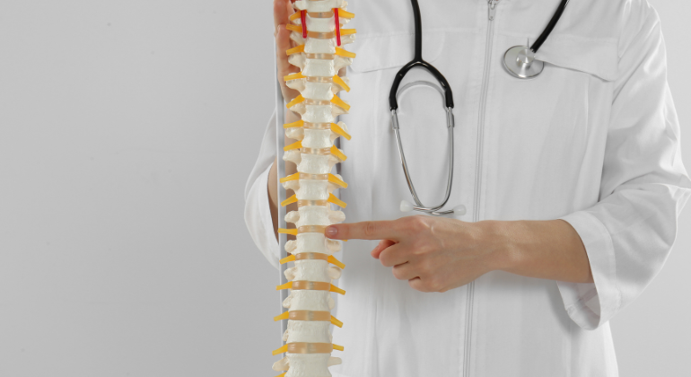 A healthcare professional in a white coat holds a model of the human spine, pointing to a section, symbolizing chiropractic care and spinal alignment techniques that may support natural navel realignment.