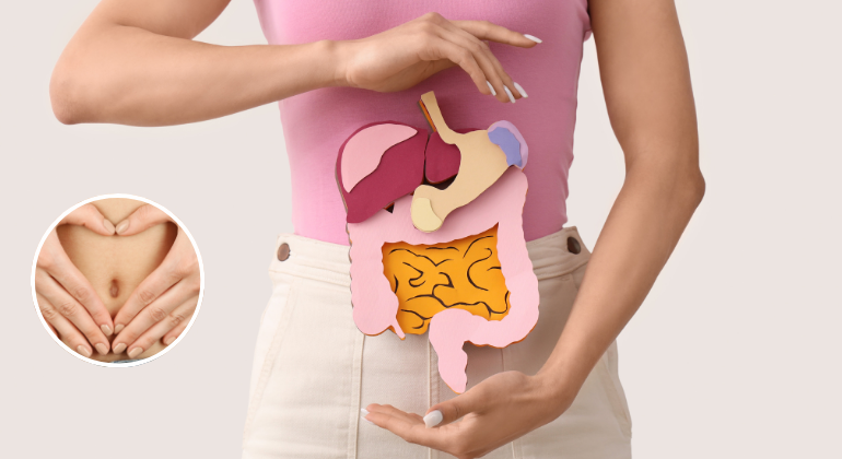 A woman wearing a pink top and white pants holds a paper cutout model of the human digestive system over her abdomen, highlighting organs like the liver, stomach, and intestines. An inset image shows hands forming a heart shape around the navel area, symbolizing digestive and gut health.