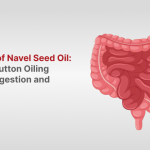 Illustration of the human digestive system next to the blog title "The Power of Navel Seed Oil: How Belly Button Oiling Supports Digestion and Detox