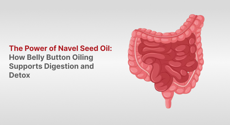 Illustration of the human digestive system next to the blog title "The Power of Navel Seed Oil: How Belly Button Oiling Supports Digestion and Detox