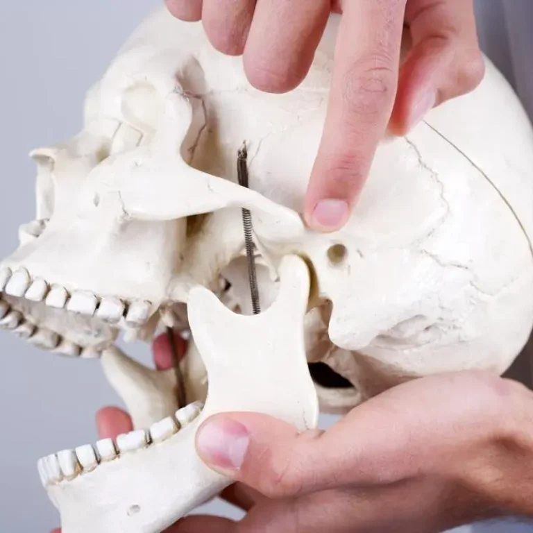 temporomandibular-joint